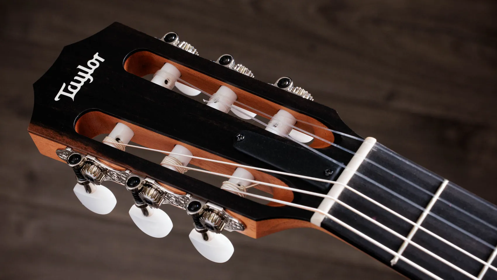 212ce-N Plus Indian Rosewood Acoustic Guitar | Taylor Guitars